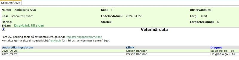 Röntgen HD/ED för Korkekens Alva